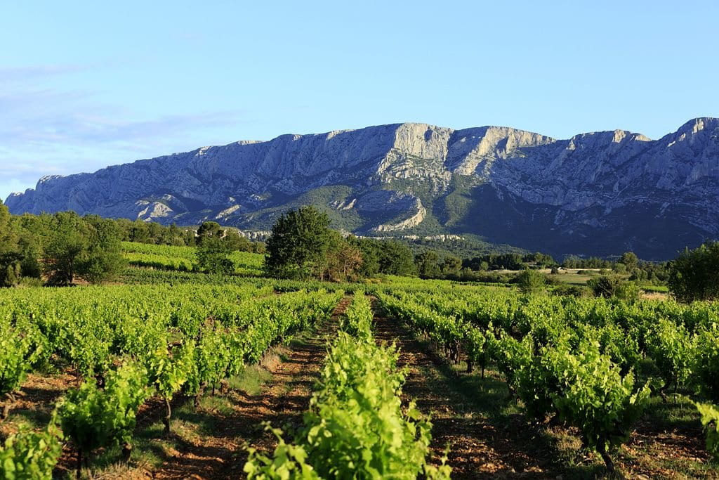 Vignobles VMSV 1